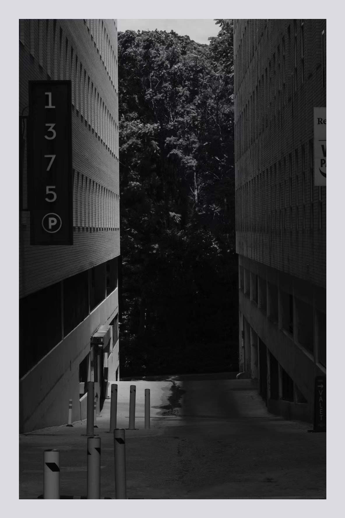 Black-and-white photograph of a parking garage alley with trees